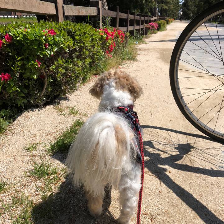 804ee8d6 1814 4994 ab75 cb92d3e5c775 1588110632770