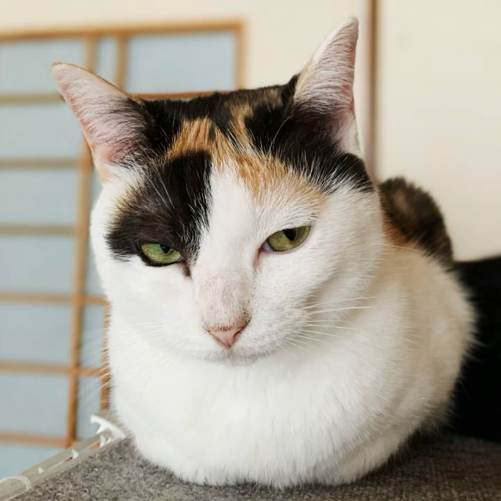 804f06ba eb81 4e9a 9b17 46591029c02e 1599360478534