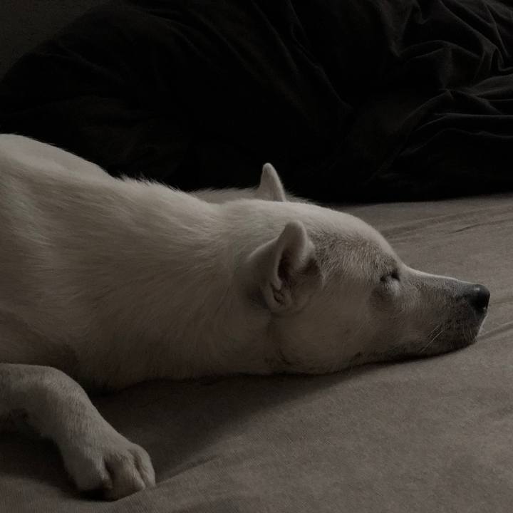 804f0e01 3252 4539 ba95 dcd58f26ed90 1538713713109