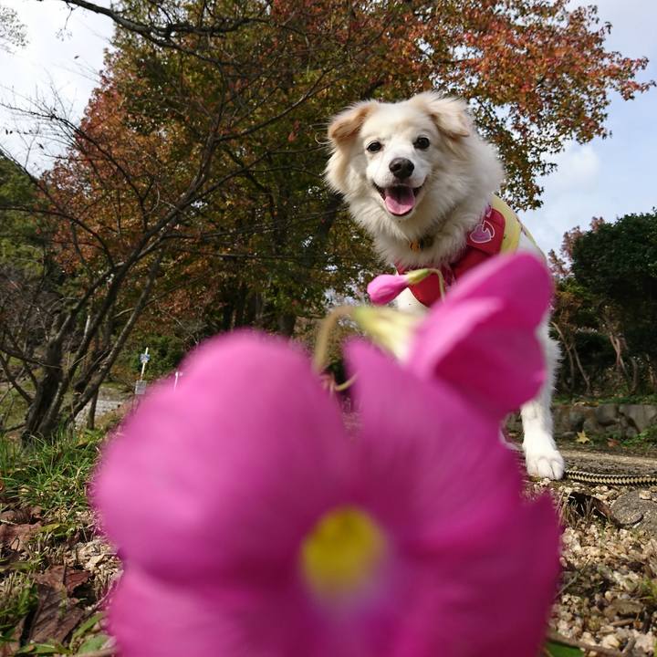 804f323e ec2b 4fad a933 9a1e9523ce72 1636895542148