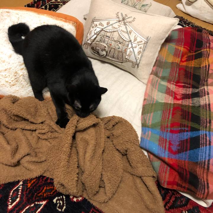 804f3a33 3ef3 4fbf 9d84 6f196eda143d 1574946641106