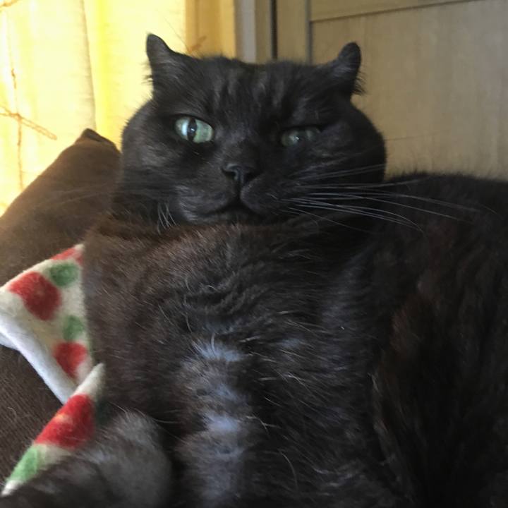 804f468e 5269 4429 85fa 0dc1e054f6e0 1556065998704