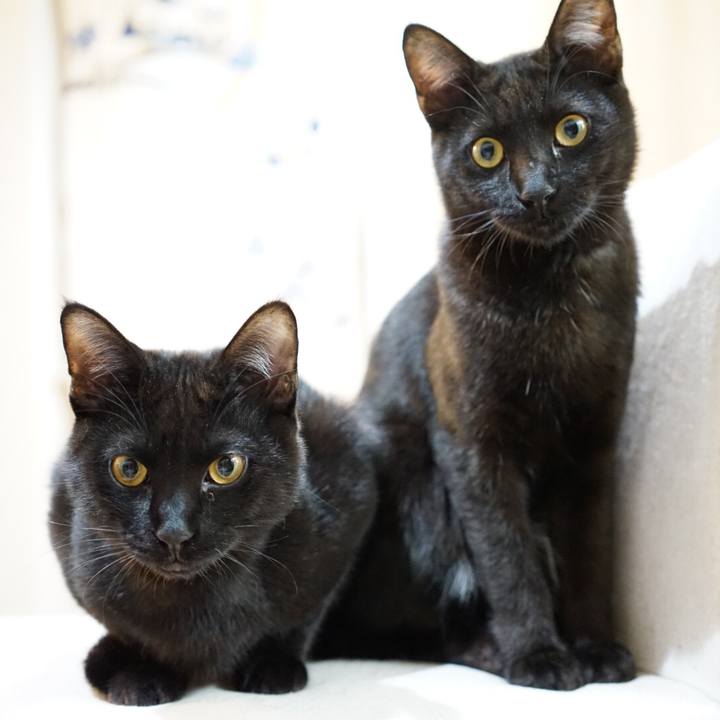 804f4b71 c9e1 4e8a 9169 1e60965dac55 1513727628092