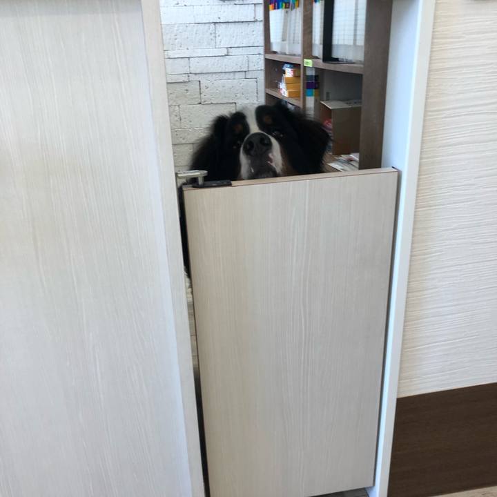 804f59f7 95a4 41f2 8c8c 60ab98792abd 1606449955541