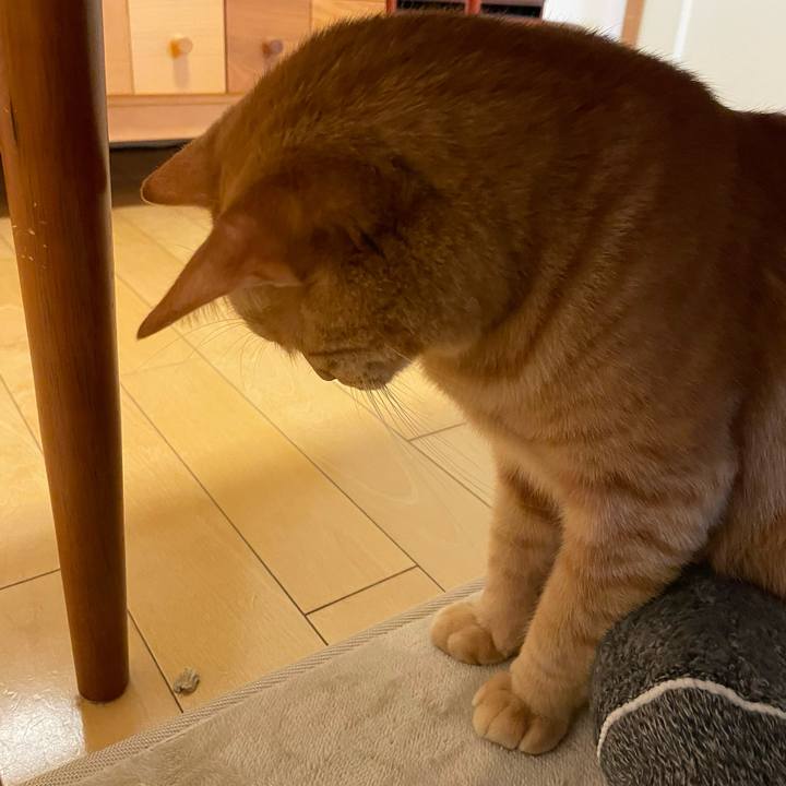 804fa13f 264d 4cee 8faa 6bfeb33607d6 1765698768460