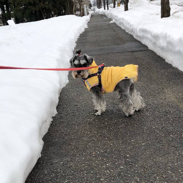 804fb9ce a01a 4a64 a516 e8f750c052bd 1610858475924