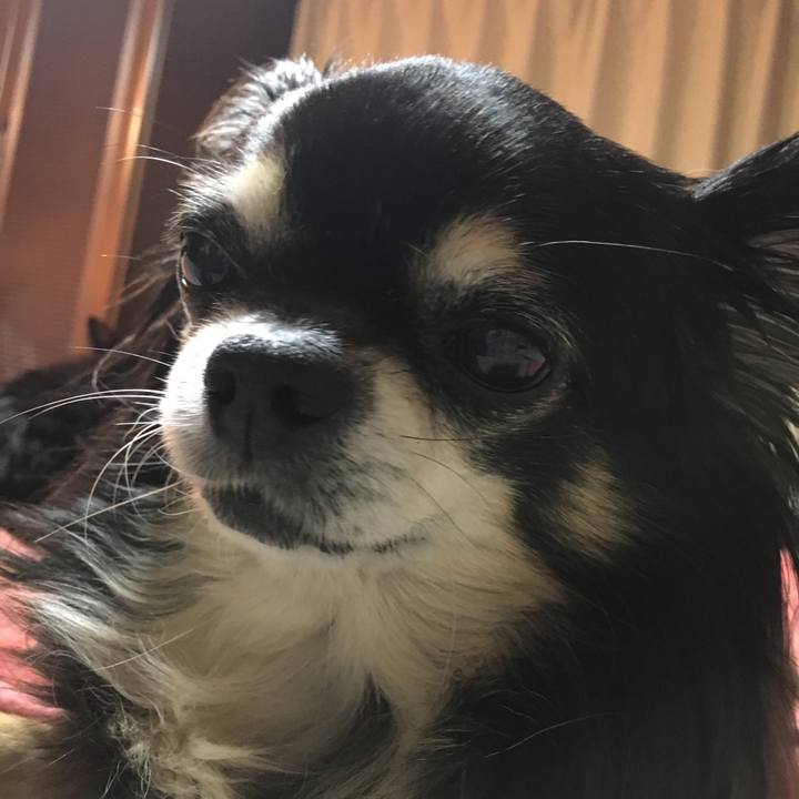 804fe75d 7ff5 442b 806e a4ede8528ffd 1514467685076