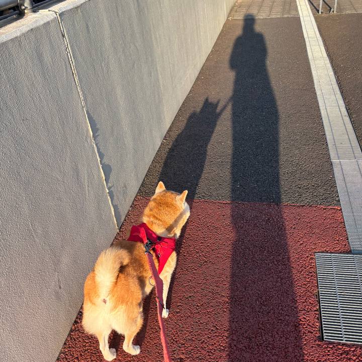 804ff5cd 6369 412a 9551 3f3cb5a2d811 1755724043169