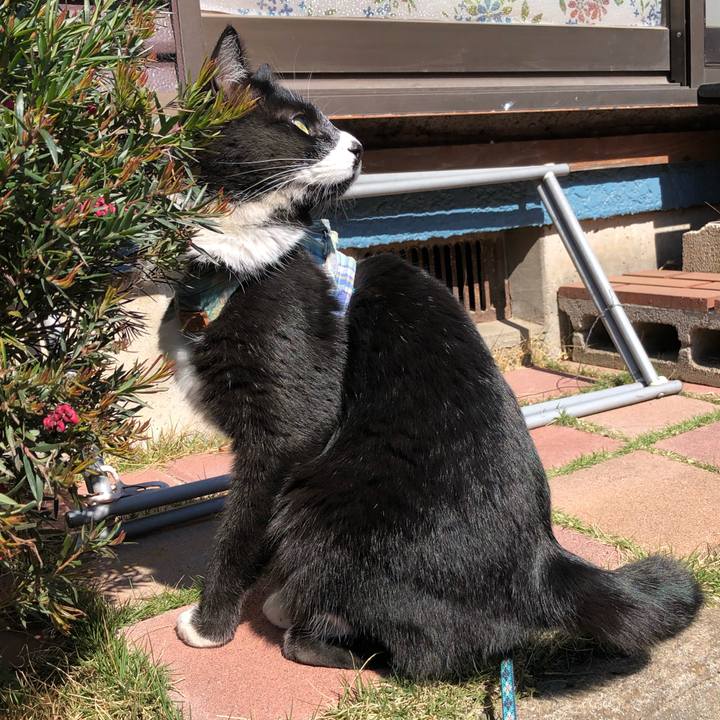 805051cc c337 436b a628 e19fa3aca8ab 1553917784392