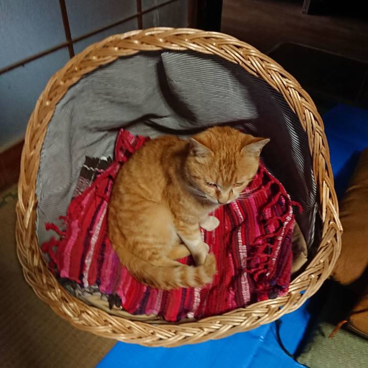 805067a8 be37 4458 ae5d a472e27d0f10 1557909439860