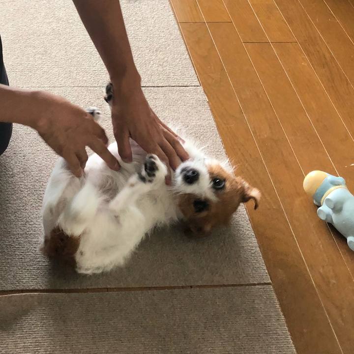 8050a670 827a 44f2 ac44 a50ba454e3a3 1531544307646