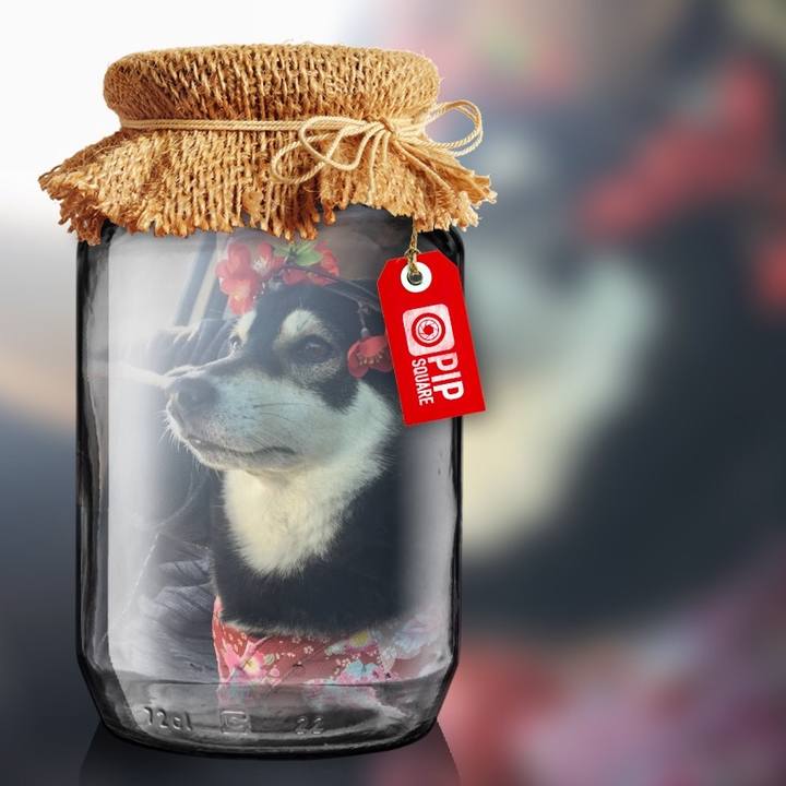 8050b655 edd7 49ae 87ad c66a36471de8 1532184473564