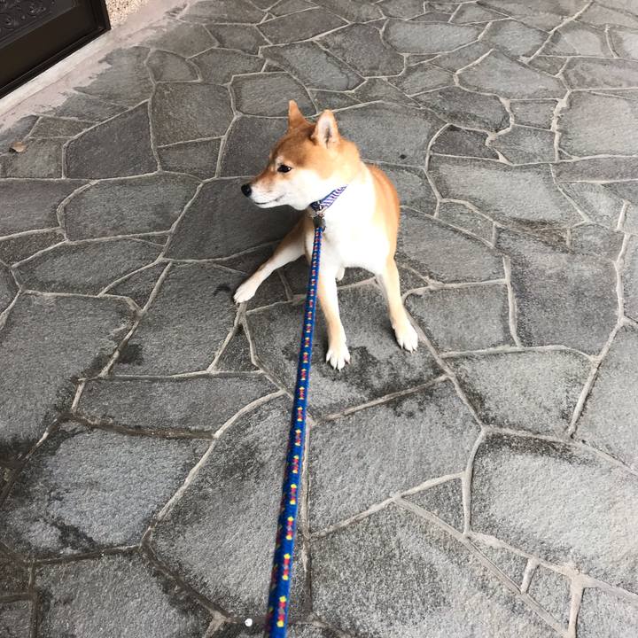 8050d2ff e20c 4e89 ace5 7afb788d62ea 1554704230165