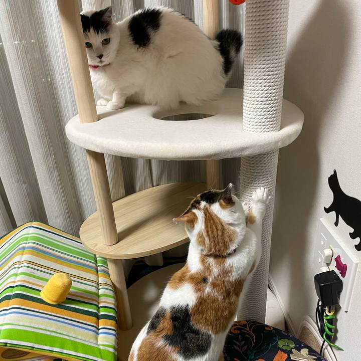 8050e7a9 4f21 4def b79e 1c7a7ce233c0 1614945645147