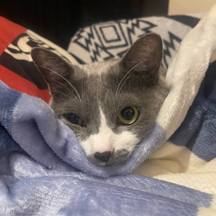 80510153 3e1d 494f b5c3 a2a9c07dc5a0 1733410862209