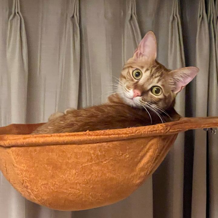 80512f70 8eba 4067 b774 f2134795b79b 1641810004821