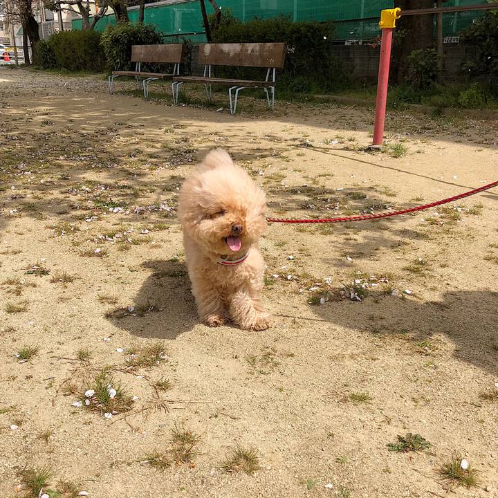 80513b86 6a45 4ee2 98a3 d02b0162feb3 1522550788245