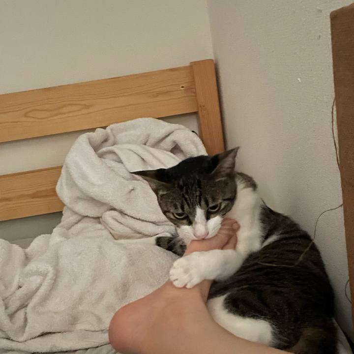 80515c06 92d2 4549 94bd bab4d88d35e7 1754315056713