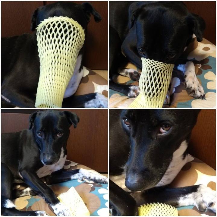 80517c7a c896 4cb1 a52d 3f597cdd838d 1602220892878