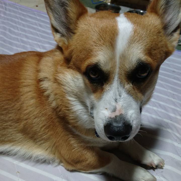 80518774 bdbb 48df b342 1d52eeca753c 1623390565884