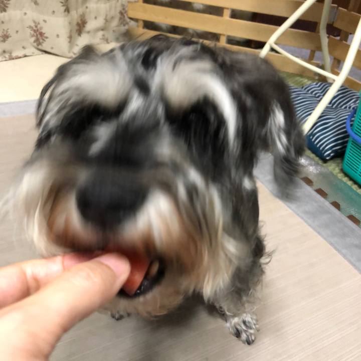 805188ca 3fe4 4a81 b163 c0f3ac734748 1629631852449