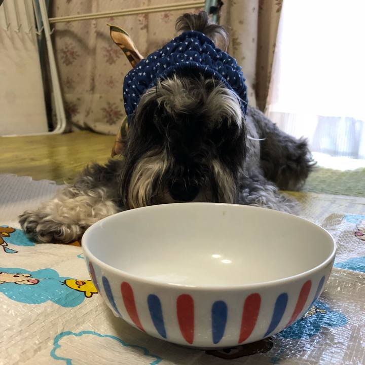 80519383 eb29 4fe1 9721 4bc266156d79 1531615302201