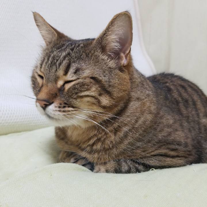 8051d8bf 2b53 447e 914d 4aaba5afc4b4 1588589810049