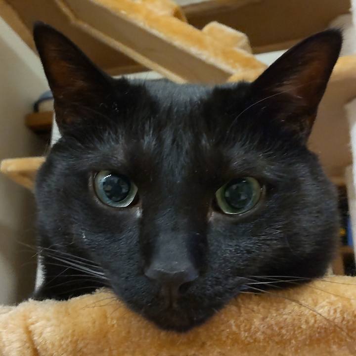 8051ffa2 adf9 4df8 a3f4 adc30e6743d1 1620402314722