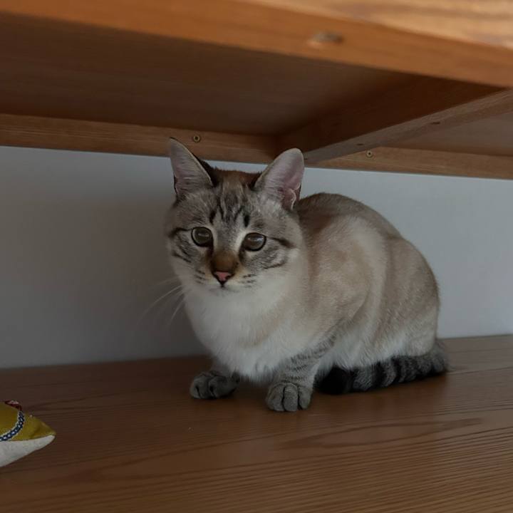 8052097b b15d 4d60 af31 8792981aa28f 1739022787444