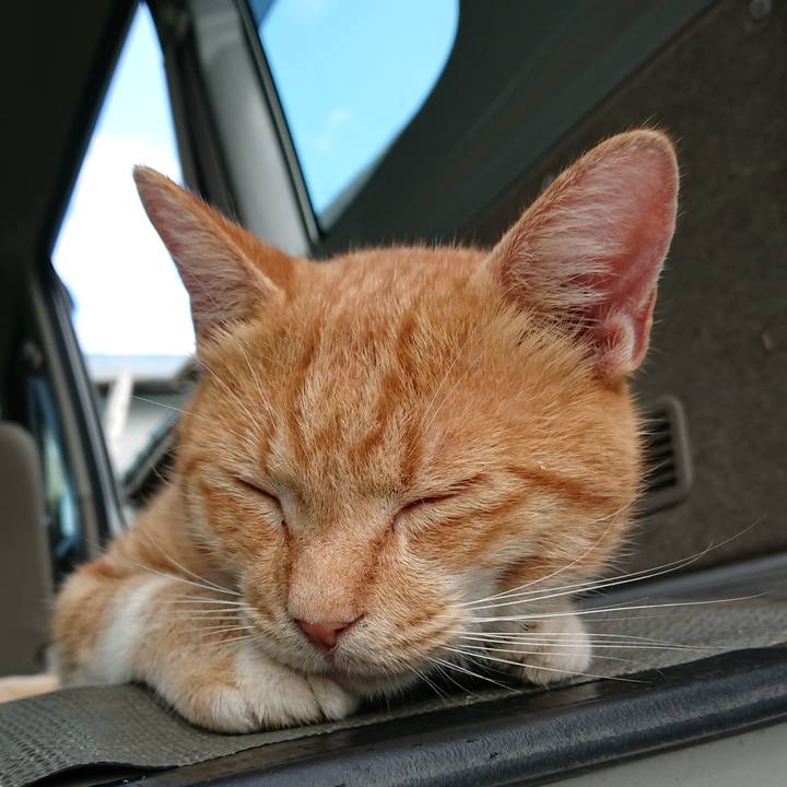 80521902 054b 4e09 8908 1d3e47e3e5cc 1566080973999