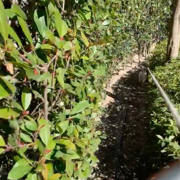 80521cb9 f8c4 4684 a720 3ede67727c1f 1550383681124