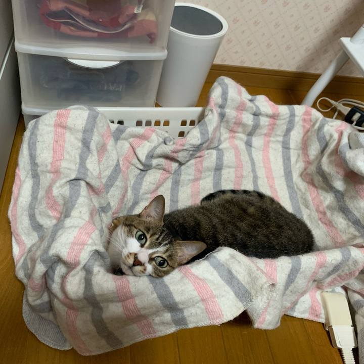 80524e59 881e 476f a68c 92d31790e293 1623788219264