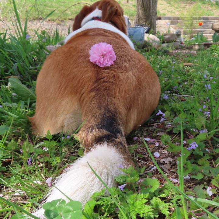 805262e6 83b9 4a85 b3ee 8a6e42f918e3 1649680845303