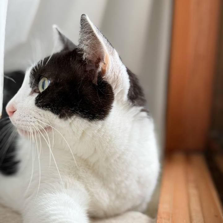 80528165 02d1 4d9f 920c e5006c8f4f34 1730421191965