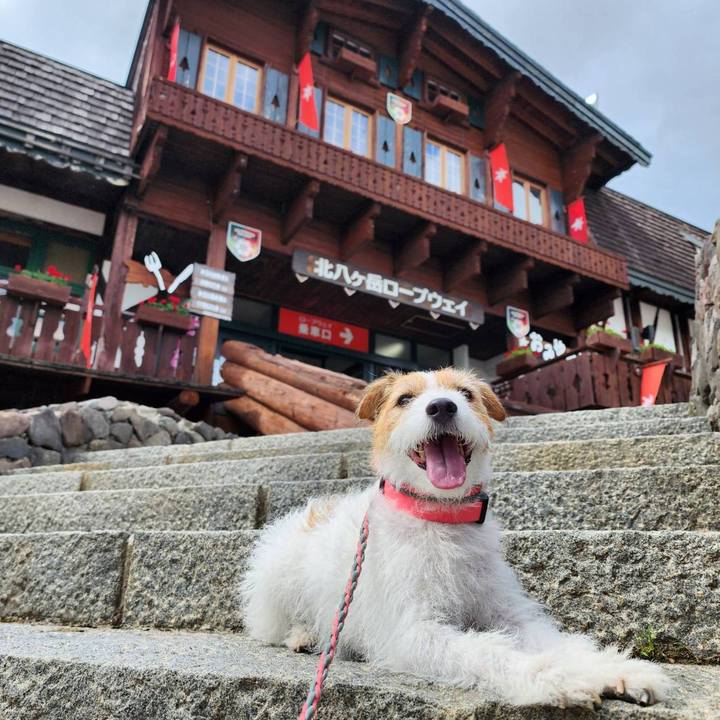 8052960d cf91 41c9 b3c2 b5219c5433bf 1691302420578