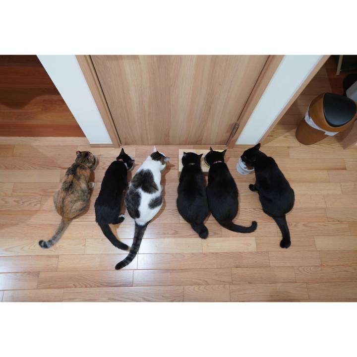 8052bed1 b8dc 490a b640 54690aa126b5 1602593009455