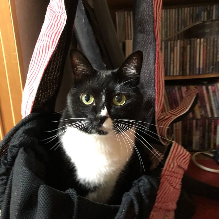 8052c4ee 3c03 433b bac4 382f3fc9ad83 1543636678208