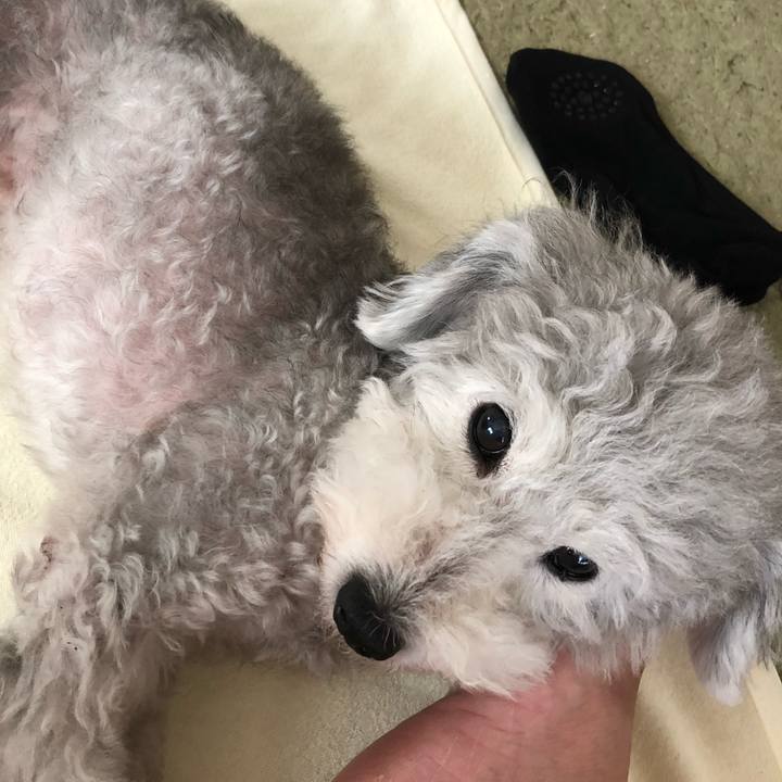 8052d778 c4b1 4c85 989d 98865214befe 1531263558821