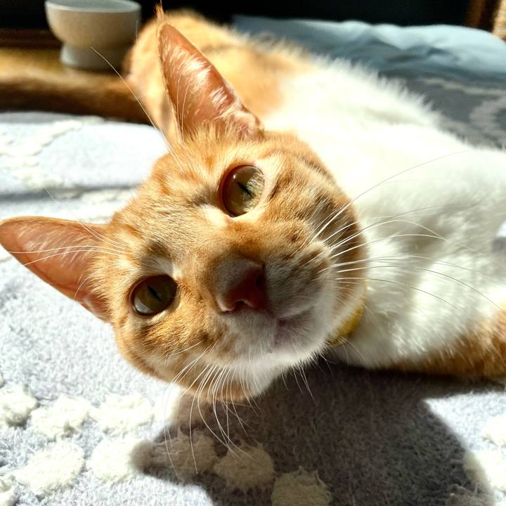 8052e546 88f2 498c b4d1 d008c867177f 1615818214545