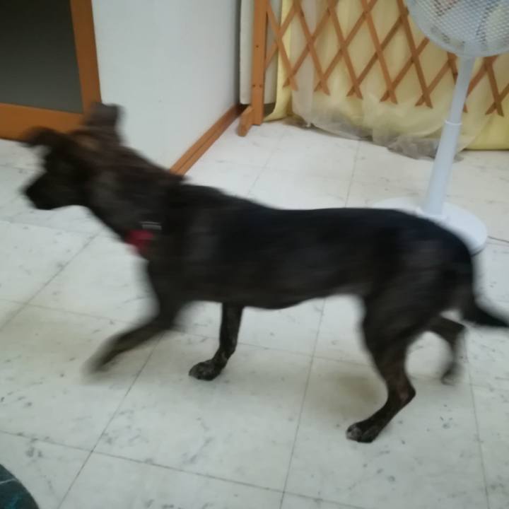 8052ff0d c00c 4027 8d50 afa1e6459827 1537788283304