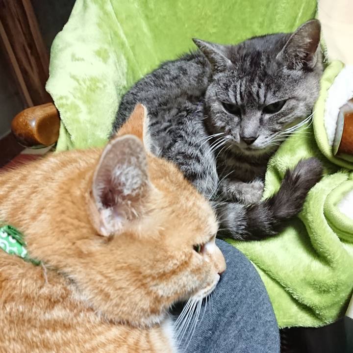 80531195 fb51 419a b52c bec12e5746a5 1582359640104