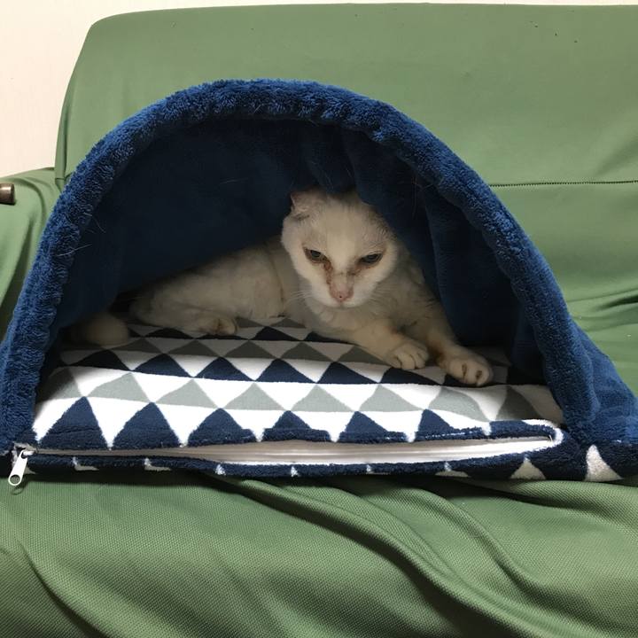 80534add 12e9 4106 beff 1e68633c5707 1537604724304