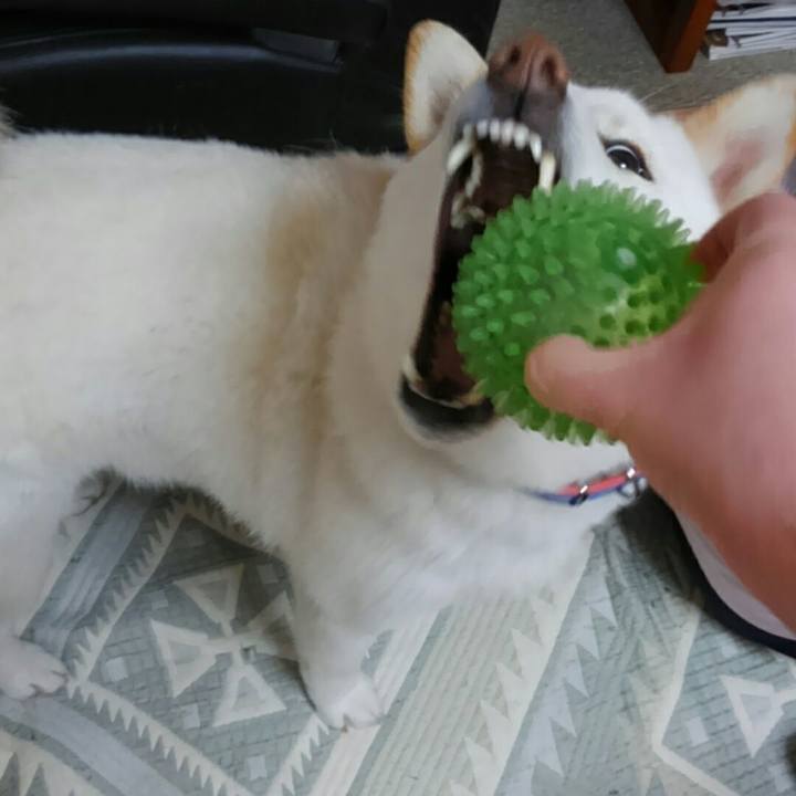 8053987e c86c 4ccc a9cd f3d91754cfcc 1521199106407