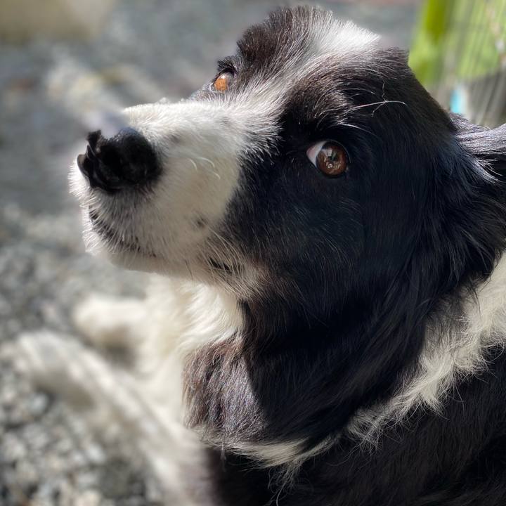 80539beb ca3f 4e64 bc14 6b6bb90b94a5 1726314378070