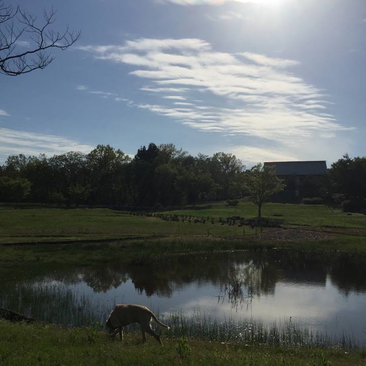 8053ae52 c956 4662 9fa0 5c78938cc736 1585146790115