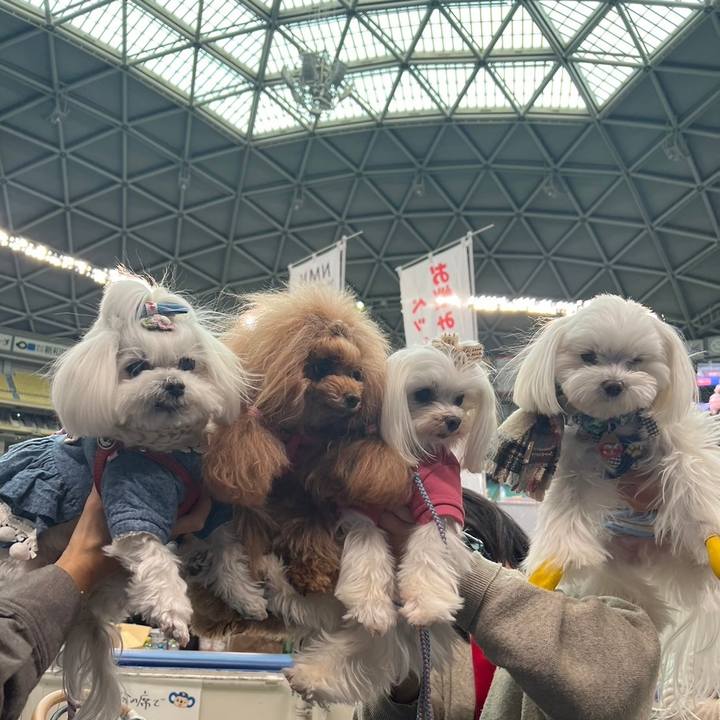 8053afe6 e086 48cf 8953 c0bd19c3bb31 1706404020013