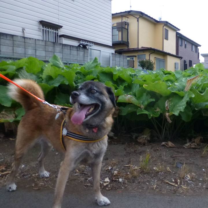 8053cc7e 6d30 4574 bb16 2d7a7e018f04 1580276736621