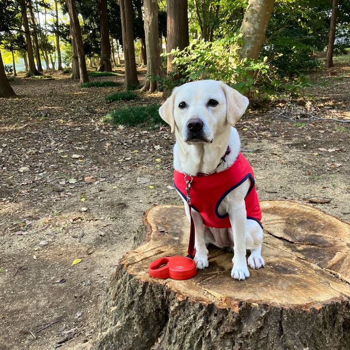 8053d8c6 d075 42e6 83b6 064103ede551 1667527894654