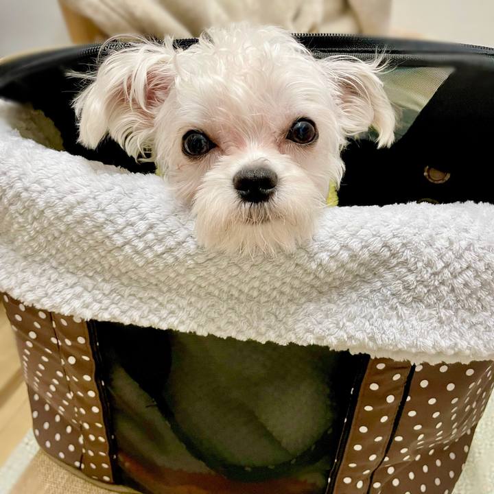 8053e2ad 01d2 44ee 8d7f 0f7ef7abead6 1647572438736