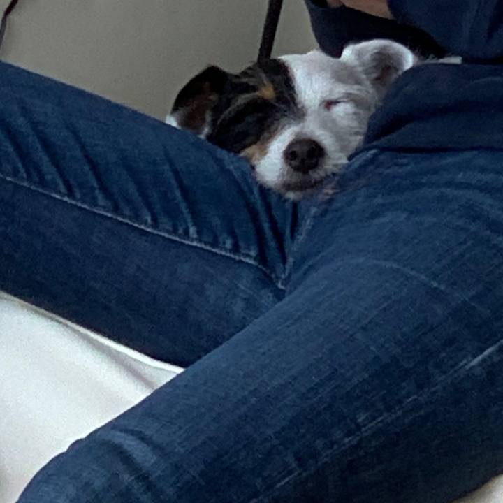 8053fd38 3740 40e6 a523 74301baf5ef6 1587102417403